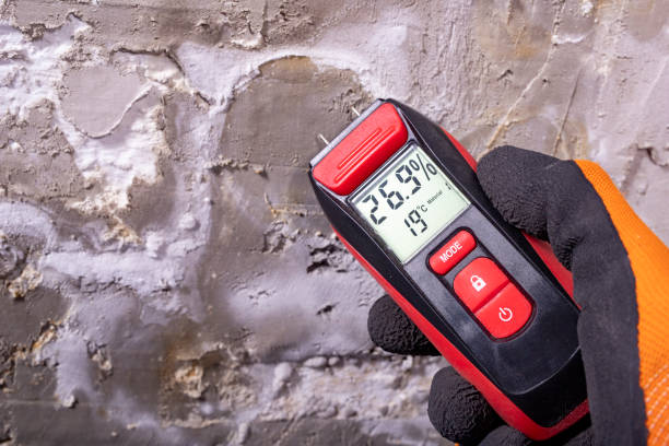 Carmel By The Sea, CA Mold Removal Company