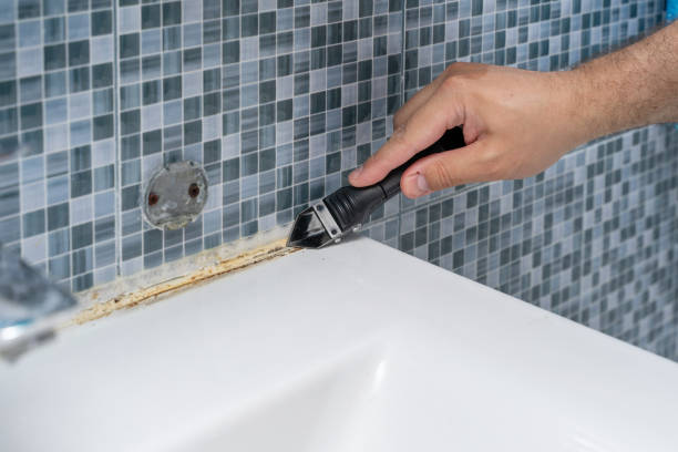 Best Fast Mold Removal  in Rmel By The Sea, CA