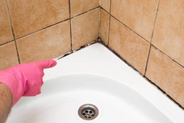 Best Commercial Mold Removal  in Rmel By The Sea, CA